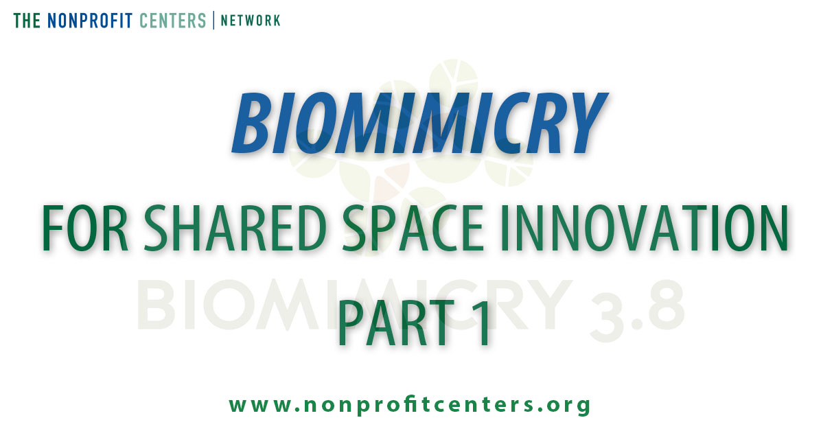 Biomimcry