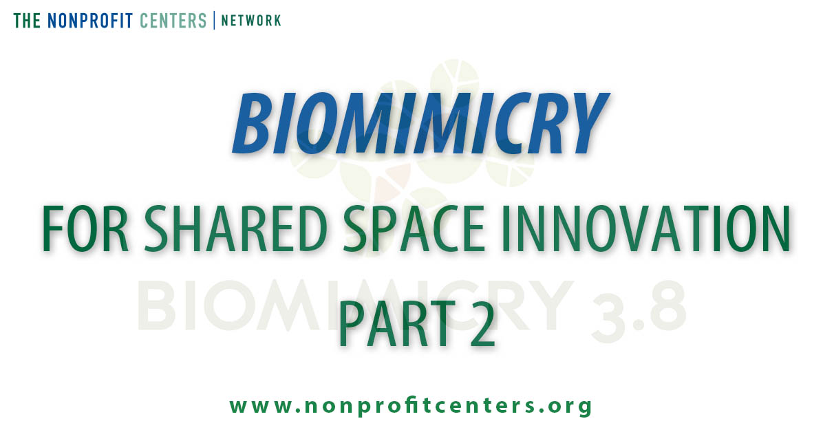 Biomimcry